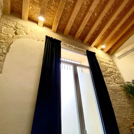 Loft Jerez Centro Apartment *