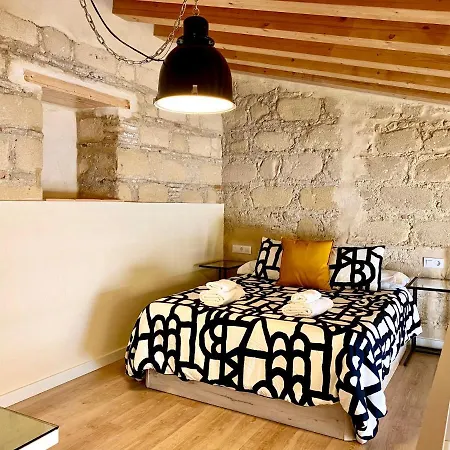 Loft Jerez Centro Apartment Jerez de la Frontera