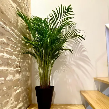 Apartment Loft Jerez Centro *